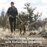 Ruffwear Crag Ex Extendable Dog Leash, Alpine Dawn