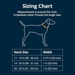 Ruffwear Crag Reflective Dog Collar, Lightweight Comfort