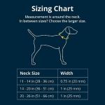 Ruffwear Front Range Adjustable Dog Collar - Blue