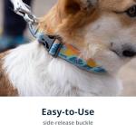 Ruffwear Crag Reflective Dog Collar, Lightweight Comfort