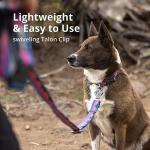Ruffwear Crag Ex Extendable Dog Leash, Alpine Dawn