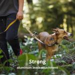 Ruffwear Crag Reflective Dog Collar, Lightweight Comfort