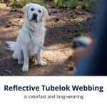 Ruffwear Crag Leash: Handheld or Waist Option