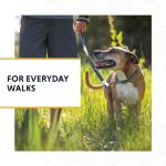 Ruffwear Adjustable Reflective Martingale Dog Collar