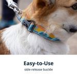 Ruffwear Crag Dog Collar, Reflective & Comfortable
