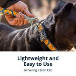 Ruffwear Crag Leash: Handheld or Waist Option