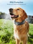 Wireless GPS Dog Fence with Camera and Collar