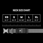 Fi Series 3+ Smart Dog Tracker Collar