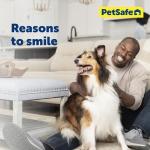 PetSafe Adjustable Martingale Collar for Strong Pullers
