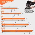 Heavy Duty Orange Leather Dog Collar for Large Dogs