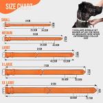 Heavy Duty Orange Leather Dog Collar for Large Dogs