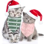 Adjustable Christmas Dog Bandana 2 Pack Set