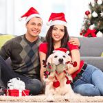 Christmas Squeaky Plush Dog Toys for All Breeds