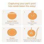 DIY Pet Paw Print Ornament Kit for Christmas