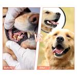 Mondotoy Tough Rubber Dog Chew Toy for Aggressive Chewers