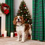 Christmas Green Plaid Dog Collar with Tree Charm