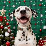 Christmas Green Plaid Dog Collar with Tree Charm