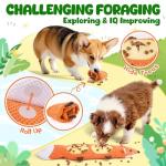 Durable Squeaky Dog Toys for Aggressive Chewers