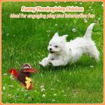 Thanksgiving Chicken Squeaky Toy for Large Dogs