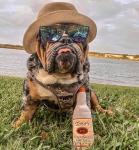 Nestpark Toto Plush Squeaky Dog Toy