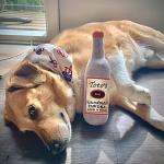 Nestpark Toto Plush Squeaky Dog Toy