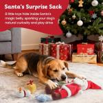 Nocciola Hide and Seek Santa Dog Toy Set