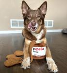 Chewffon Interactive Dog Puzzle and Snuffle Toy