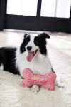 Cute Bone Shaped Birthday Toy for Dogs