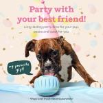 WOOF Party Pupsicle - Fun Interactive Dog Toy