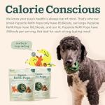 Chicken Pupsicle Refill Treats for Dogs, 7 Count