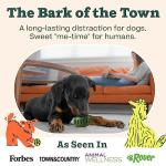 Interactive Dog Toy Starter Pack with Treat Molds