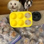 Silicone Dog Treat Molds for Freezing Pupsicles