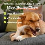 WOOF HonestChew Antler Dog Toy - Durable Chew