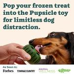 Pupsicle Treat Tray Mold for Dogs