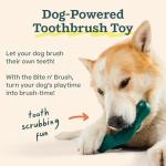 WOOF Dog Toothbrush Toy Bite n' Brush Refills
