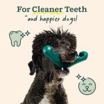 WOOF Dog Toothbrush Toy Bite n' Brush Refills