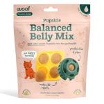 WOOF DIY Pupsicle Mix for Healthy Dogs