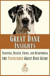 Great Dane Guide: Training, Health, and Care