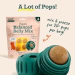 WOOF DIY Pupsicle Mix for Healthy Dogs