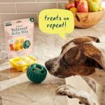 WOOF DIY Pupsicle Mix for Healthy Dogs