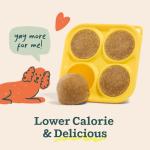 WOOF DIY Pupsicle Mix for Healthy Dogs