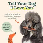 WOOF Bully Sticks Dog Chew Treats - 5 Pack