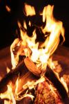 Double Tree Fatwood Premium Fire Starter Sticks 10 LBS