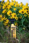 Sawyer Products SP6572 Premium Permethrin Clothing  Assorted Styles 