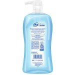 Dial Body Wash, Refresh & Renew Coconut Water, 32 fl oz