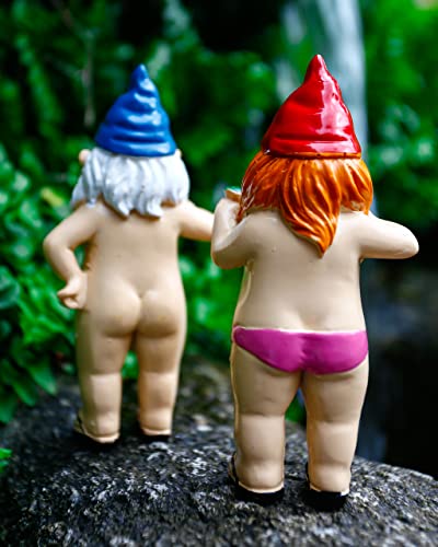 Naughty Gnome Statues for Indoor/Outdoor Garden Decor