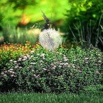 QUUERT Metal Fairies Dandelions Dance Together Statue Garden Ornament Sculpture Decor,B