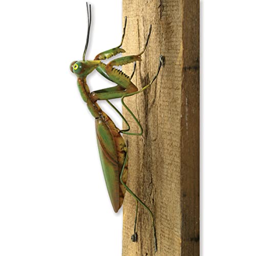 Whimsical Praying Mantis Tree Hanger - Garden Decoration