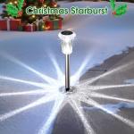 10 Pack Solar Stake Lights for Garden Pathways