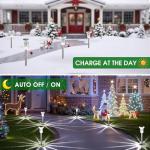 10 Pack Solar Stake Lights for Garden Pathways